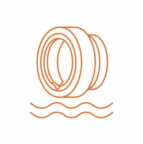 Marine Seals