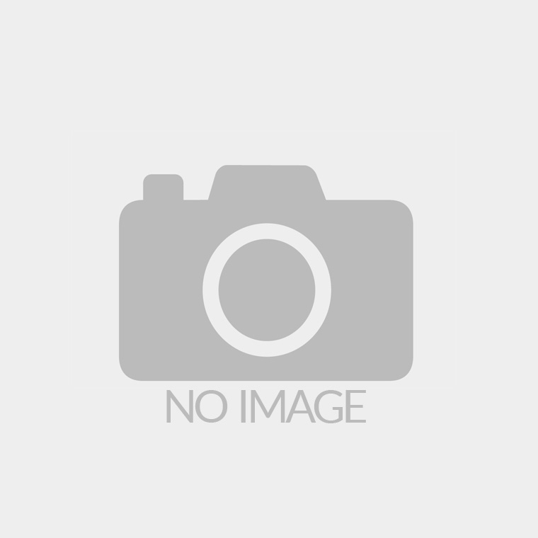 Ganga R Ispat Metals